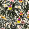So Finchy (Gouldian Finch)design available as a print for wallpaper, upholstery fabric, linen and our commercial fabric range.
