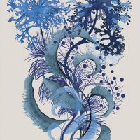 Handpainted pattern design inpired by algea from the Royal Botanic Gardens Victoria collection.