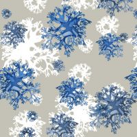 Handpainted pattern design inpired by algea from the Royal Botanic Gardens Victoria collection.